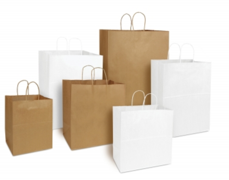 13x9x16 Paper Shopping Bag White - 200/case – Karat